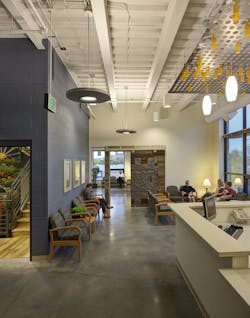 2f Tricia Shay 2f Tricia Shay