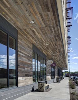 2a Tricia Shay 2a Tricia Shay