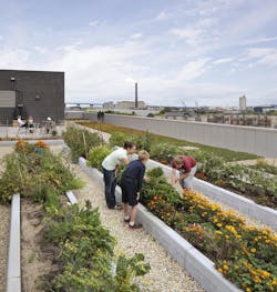 2d Tricia Shay 2d Tricia Shay