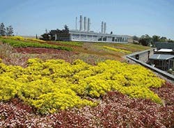 Ellis Creek 2 Ellis Creek 2