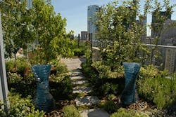 Visionaire2 Visionaire2