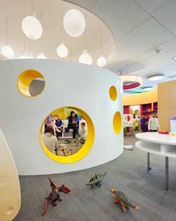 Cornell 4 Resizedc800x530 0 Cornell 4 Resizedc800x530 0