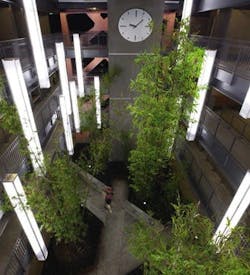 Photo2%20%281%29 0 Photo2%20%281%29 0