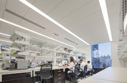 Mt Sinai Csm Som 06 Mt Sinai Csm Som 06