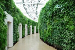 Longwood%201 Longwood%201