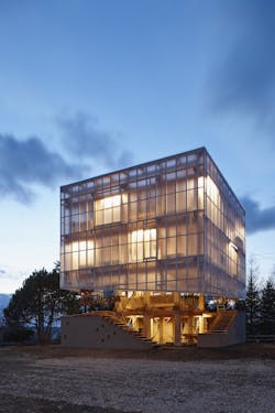 Nest%20 We%20 Grow 0 Nest%20 We%20 Grow 0