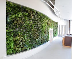 Arch%20 Nexus Arch%20 Nexus