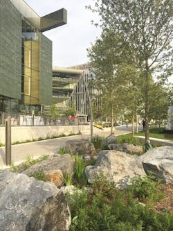 Image%20%c2%a9%20 Som%20%232 Image%20%c2%a9%20 Som%20%232