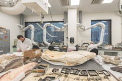 University%20of%20 Michigan%e2%80%99s%20 Biological%20 Sciences%20 Building%2 C%20 Ennead%20 Architects%2 C%20 Smith Group%20 Photo%20 Bruce%20 Damonte1 University%20of%20 Michigan%e2%80%99s%20 Biological%20 Sciences%20 Building%2 C%20 Ennead%20 Architects%2 C%20 Smith Group%20 Photo%20 Bruce%20 Damonte1