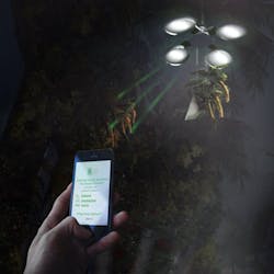 Vertical%20 Oasis%20 Building With%20mobile%20application Vertical%20 Oasis%20 Building With%20mobile%20application