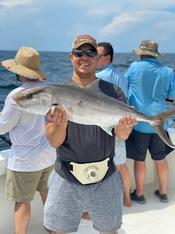 Michael Tortorici Michael Tortorici