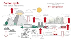 bdcnetwork.com LEO A DALY carbon cycle w humans bdcnetwork.com LEO A DALY carbon cycle w humans