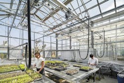 718032 N19 Highres 718032 N19 Highres