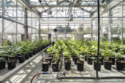 718032 N20 Highres 718032 N20 Highres