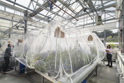 718032 N18 Highres 718032 N18 Highres