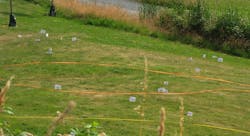 Food Forest3 Food Forest3