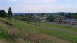 Food Forest6 Food Forest6