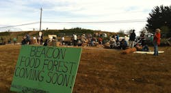 Food Forest4 Food Forest4