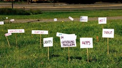 Food Forest1 Food Forest1