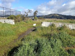 Unnamed%20%281%29 Unnamed%20%281%29