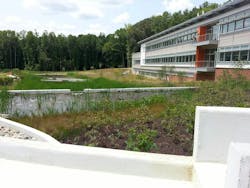 Mathias Rain Garden Serc Mathias Rain Garden Serc