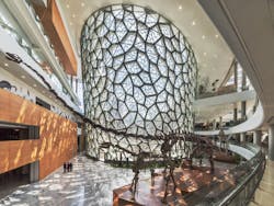 06 Shanghai%20 Natural%20 History%20 Museum 06 Shanghai%20 Natural%20 History%20 Museum