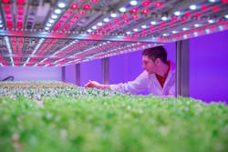 Hr Photo Philips City Farm Research Center 12 Hr Photo Philips City Farm Research Center 12