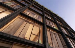 Tall Wood 1 Website Tall Wood 1 Website