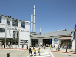 Ehdd Mba Bruce%20 Damonte%203 Ehdd Mba Bruce%20 Damonte%203