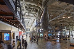 Ehdd Mba Bruce%20 Damonte%205 Ehdd Mba Bruce%20 Damonte%205