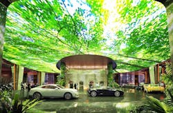 Rainforest%204 Rainforest%204