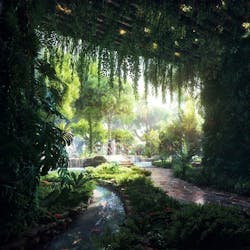 Rainforest Rainforest