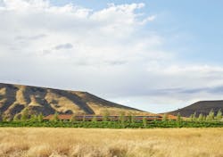 Washington%20 Fruit Ks 001 Washington%20 Fruit Ks 001