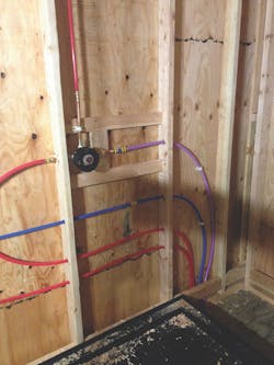 Img 3311 3 5 Img 3311 3 5