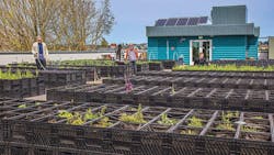 Affordable Affordable