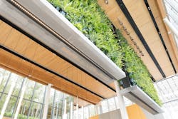 Living wall in McDonald's flagship Living wall in McDonald's flagship