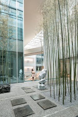 Bamboo Garden in Vanke Times Center Bamboo Garden in Vanke Times Center