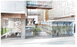 Dexter Yard Dexter Yard