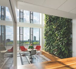 Weiser Hall interior living wall Weiser Hall interior living wall