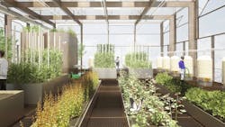 Level 6 greenhouse Level 6 greenhouse