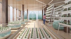 Superfarm aquaponics level Superfarm aquaponics level