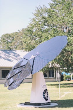 Maclay6jpg Maclay6jpg