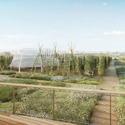 Agripolis aeroponics Agripolis aeroponics