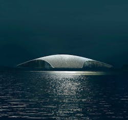 The Whale as seen from the ocean The Whale as seen from the ocean