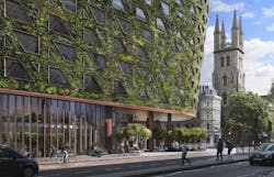 Citicape House living wall from the ground floor Citicape House living wall from the ground floor