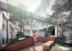 UTSC green space UTSC green space