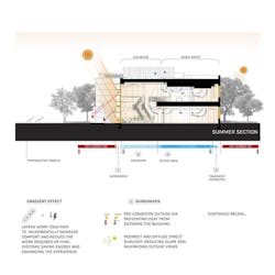 In Toolway Summer Section In Toolway Summer Section