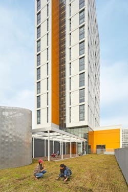 Daphne Cockwell Health Sciences Complex urban farm roof Daphne Cockwell Health Sciences Complex urban farm roof