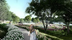 Overlook of the Clearing Overlook of the Clearing