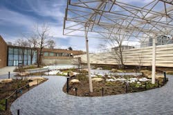 A remade environmental courtyard that opened last year at Cleveland's Natural History museum A remade environmental courtyard that opened last year at Cleveland's Natural History museum